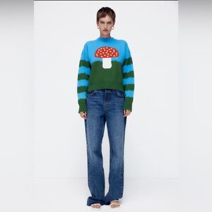 Zara sweater